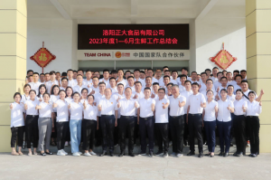 總結過去，計劃未來，協同創(chuàng)新，再創(chuàng)佳績！洛陽正大舉行2023年上半年工作總結會議